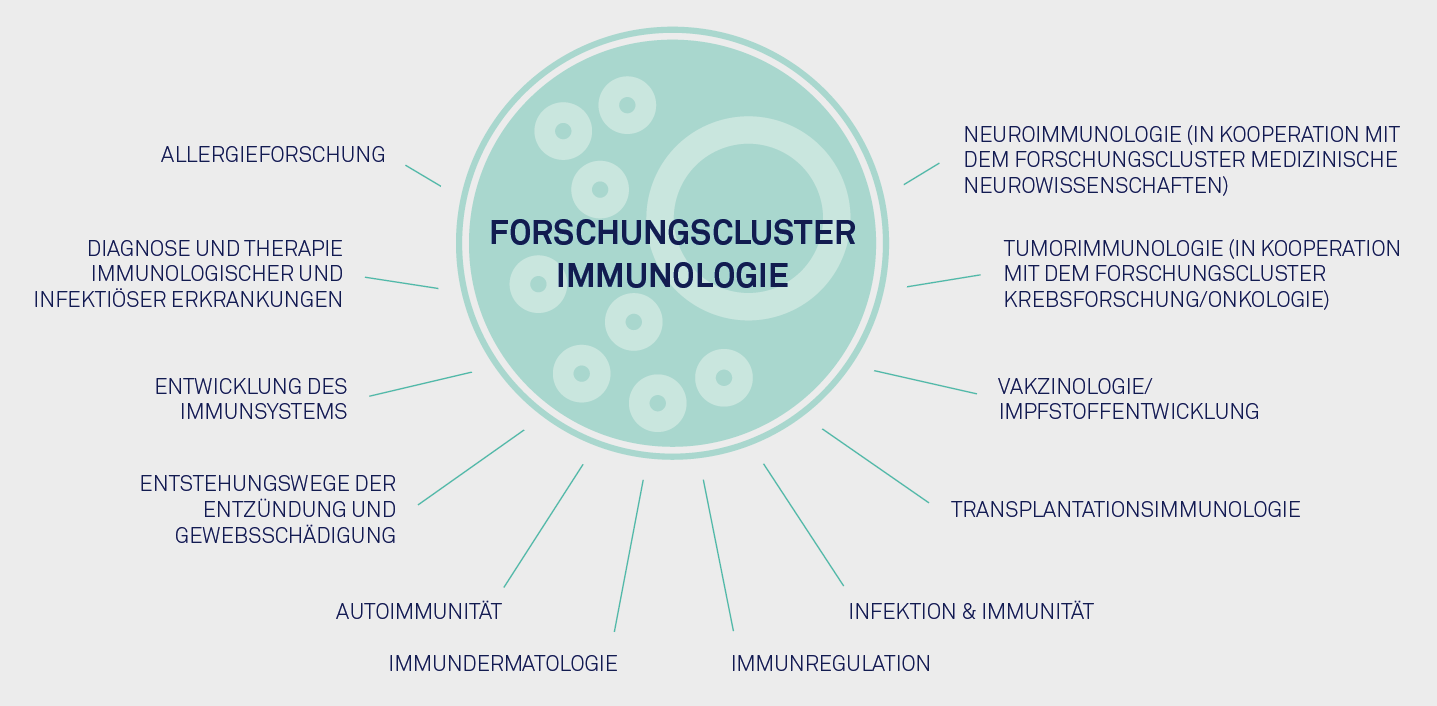 Research cluster immunology