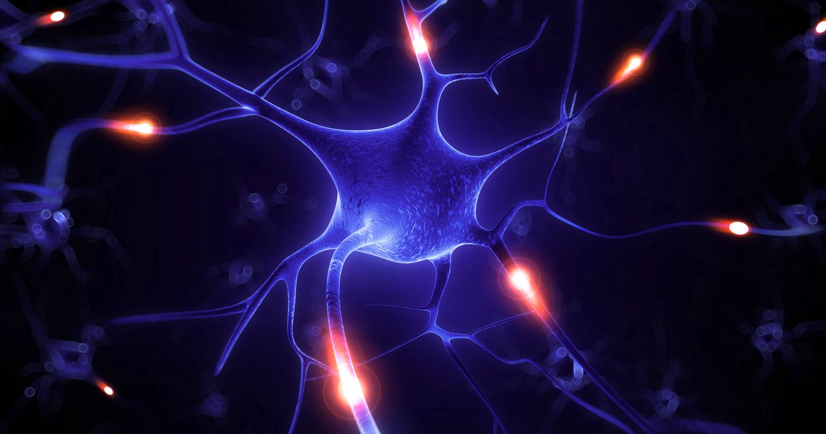 Neuronal Back Up System Discovered