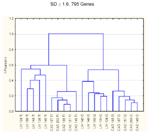 Webfigure 2