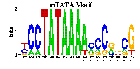 mTATA Box