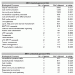 Table 3