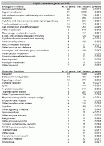 Webtable 2