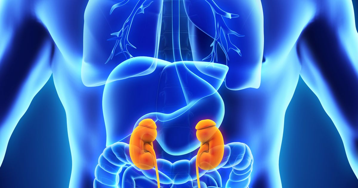 features-of-urinary-obstruction-following-kidney-transplantation